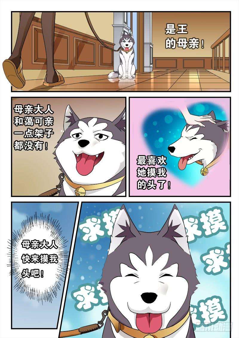 6.jpg