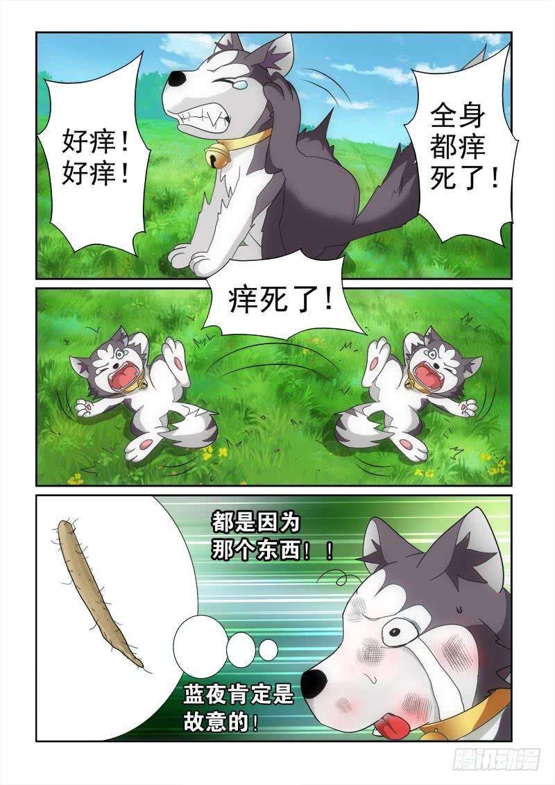 18.jpg