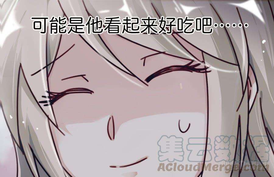 41.jpg