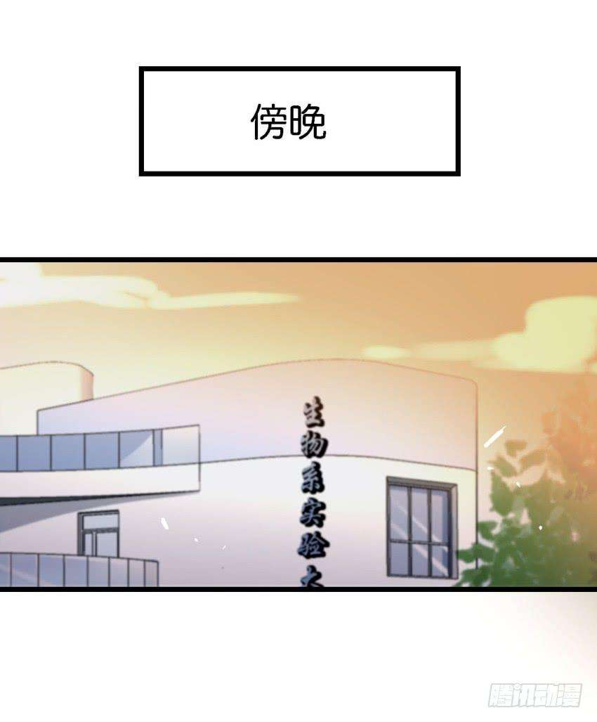 46.jpg