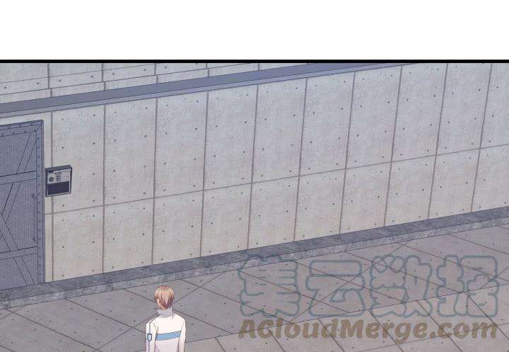 51.jpg