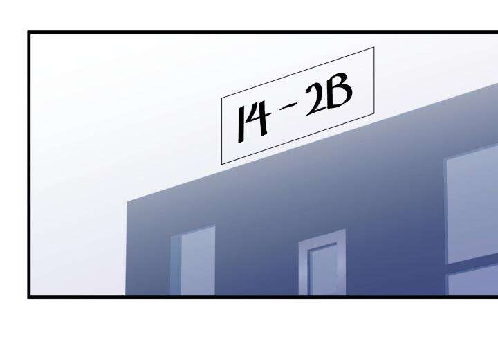 97.jpg