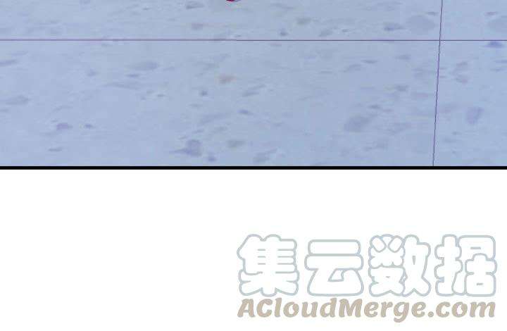 101.jpg