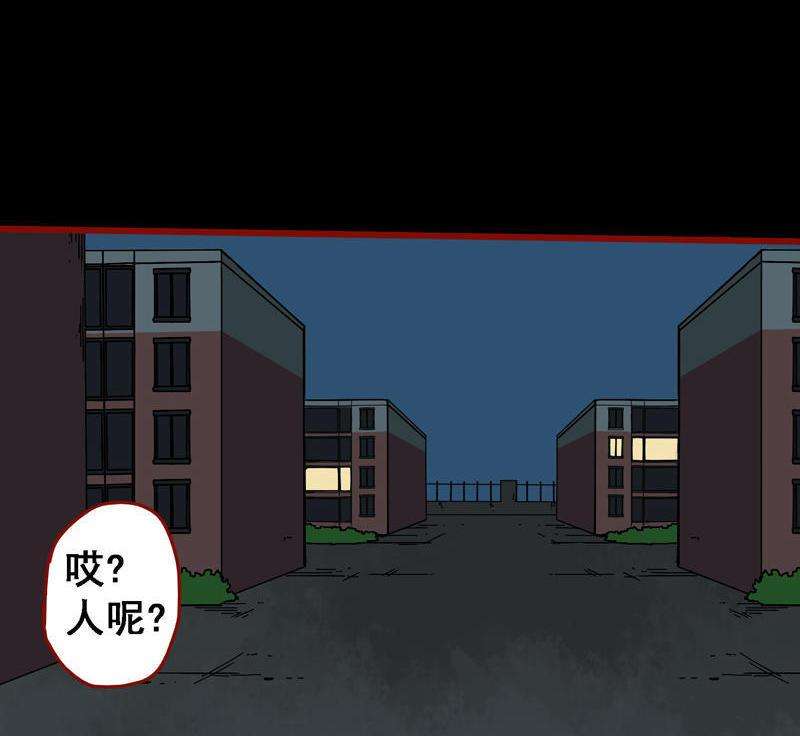 47.jpg