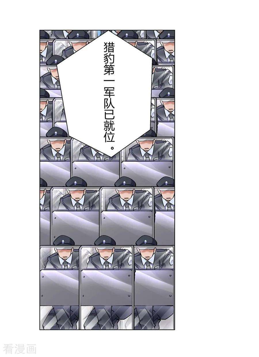47.jpg