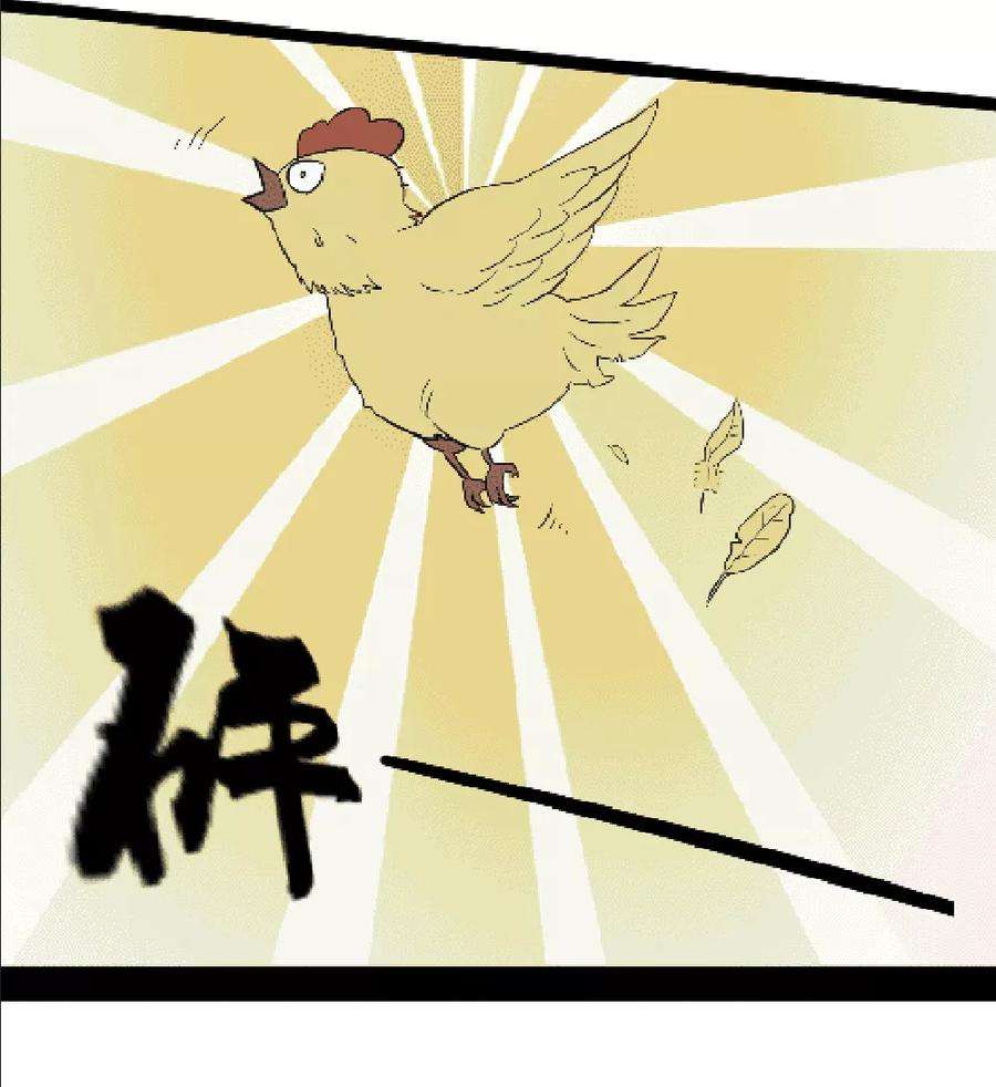 40.jpg