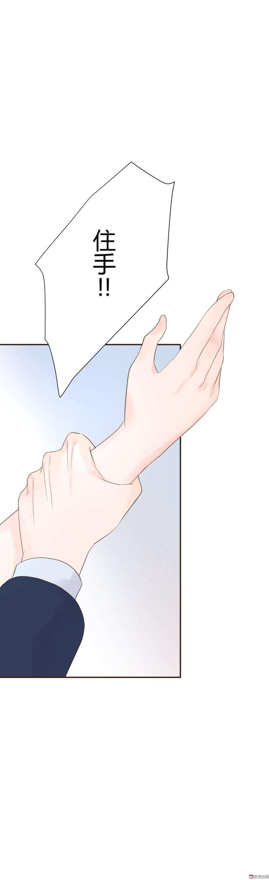 28.jpg