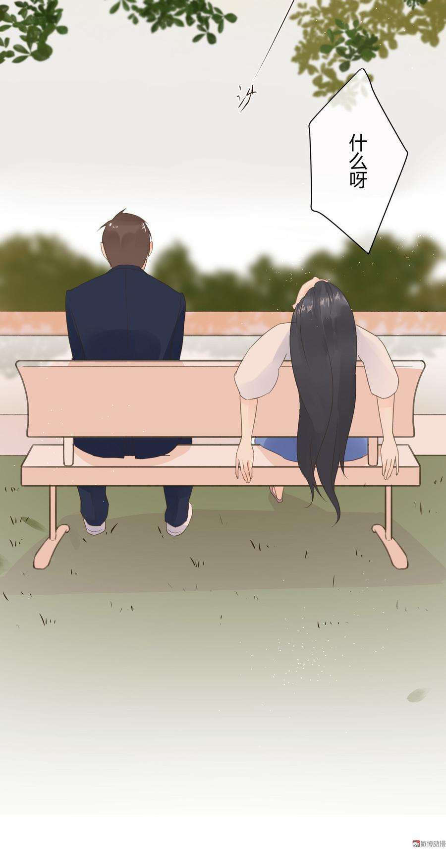 17.jpg