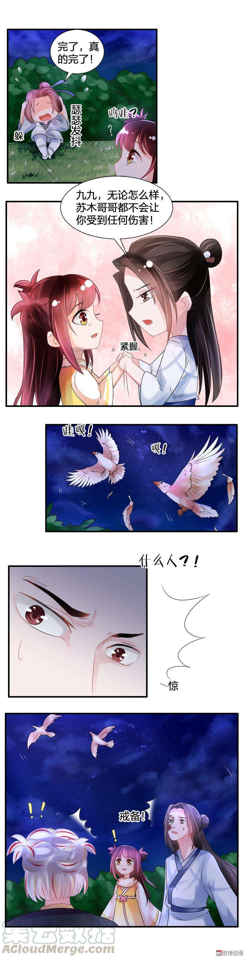 11.jpg