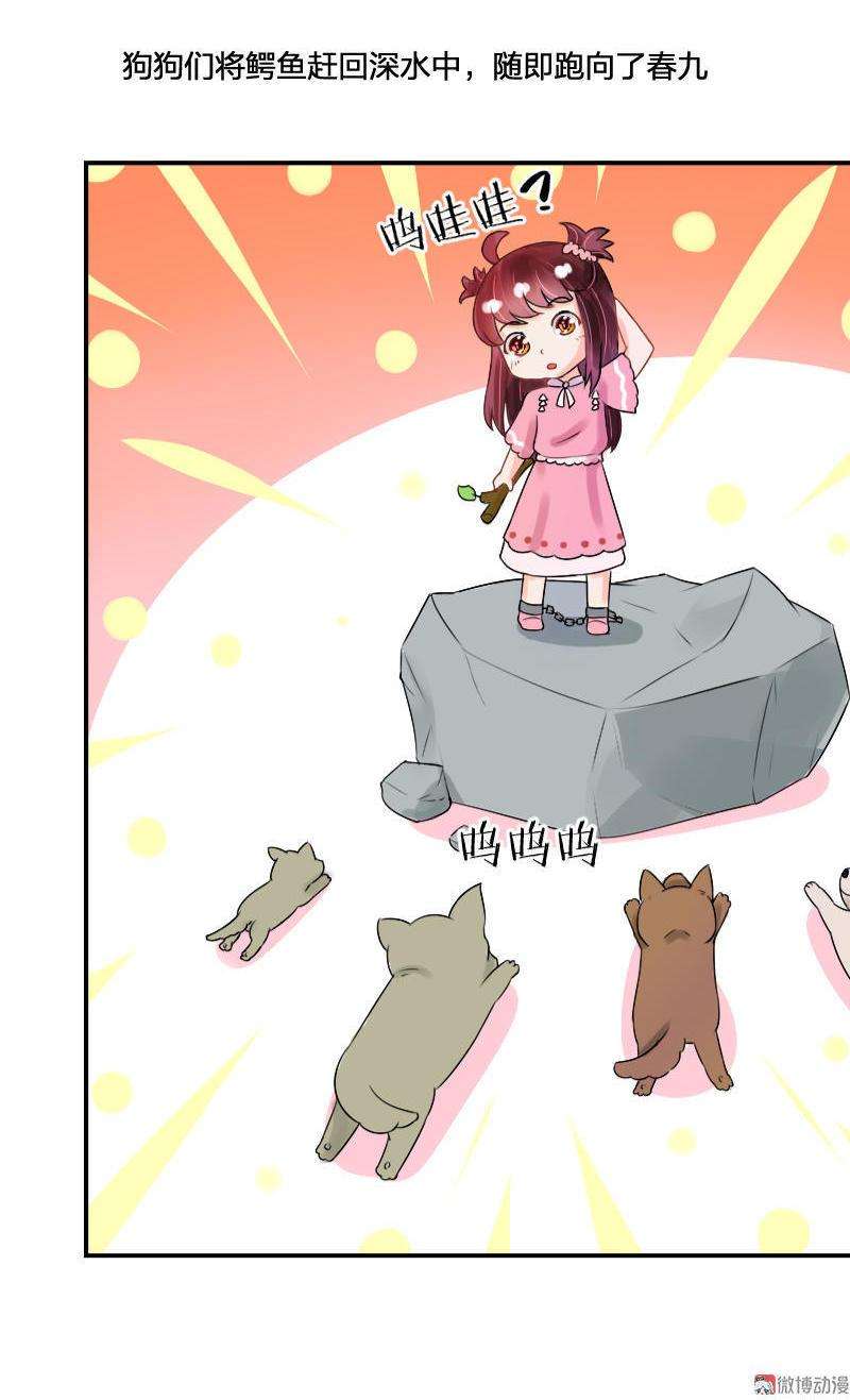 25.jpg