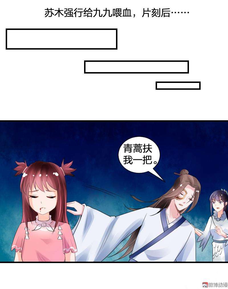 13.jpg