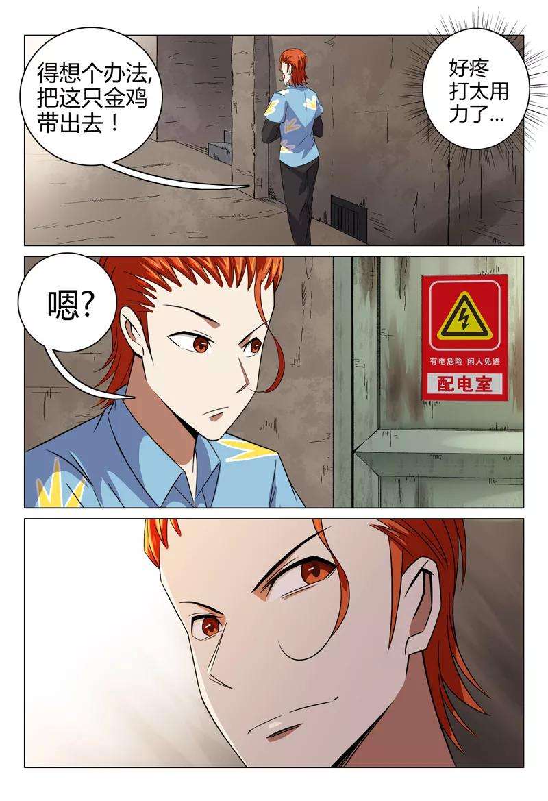 5.jpg