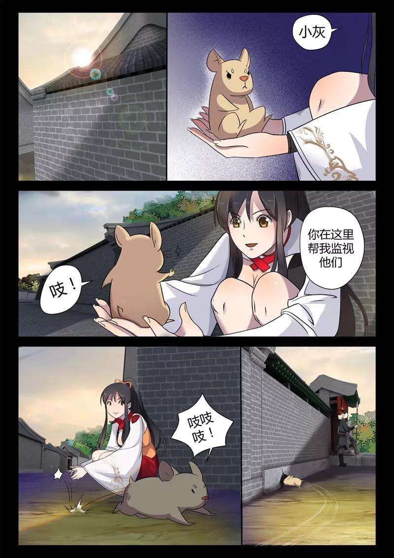 15.jpg