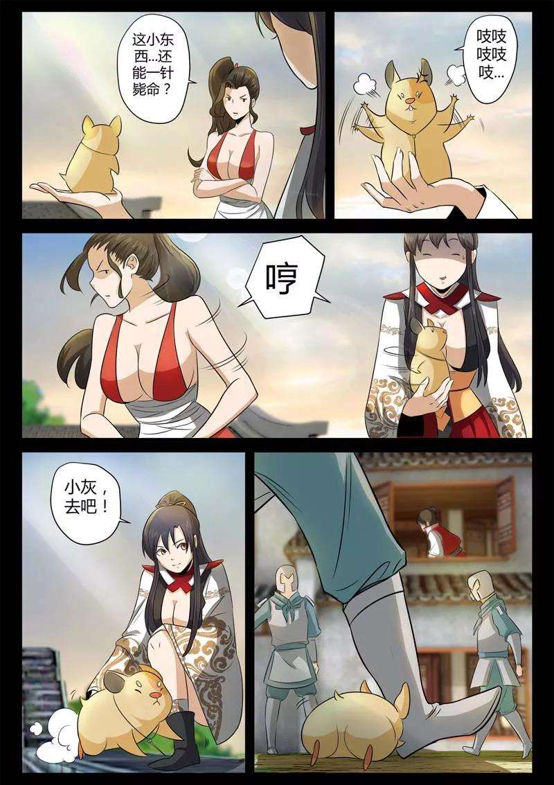 5.jpg
