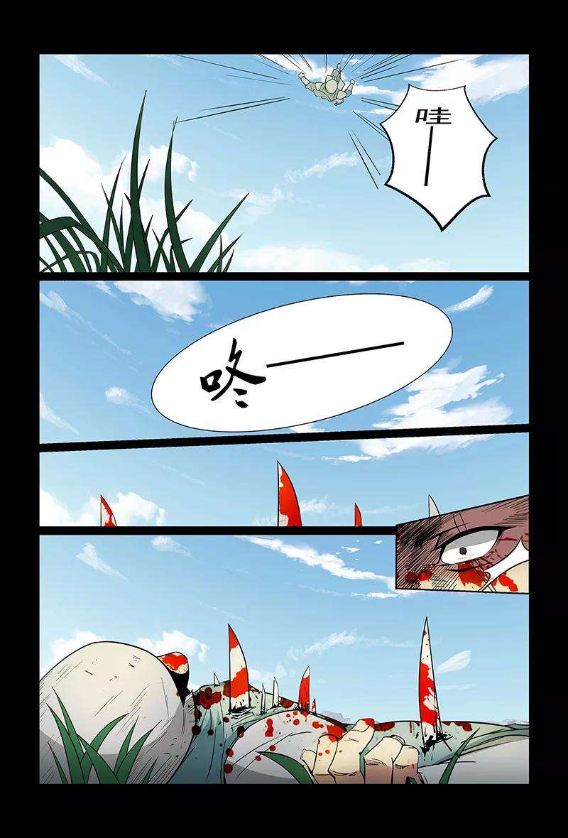 12.jpg