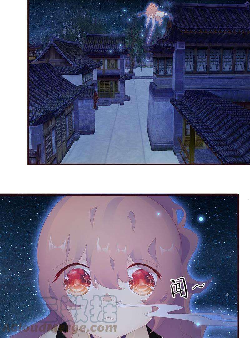 11.jpg