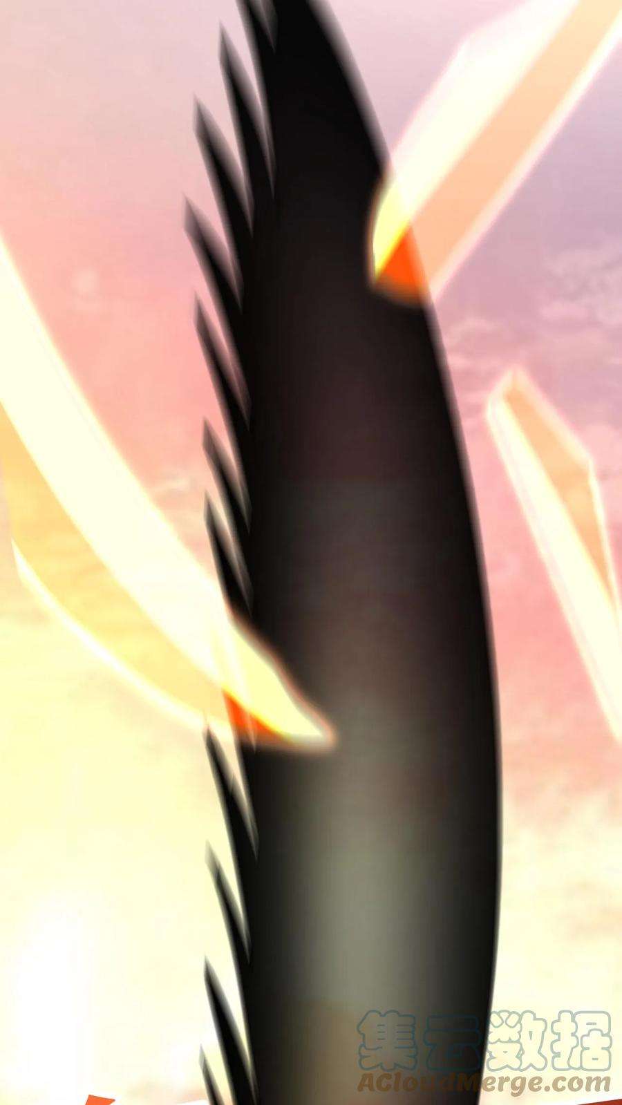 23.jpg