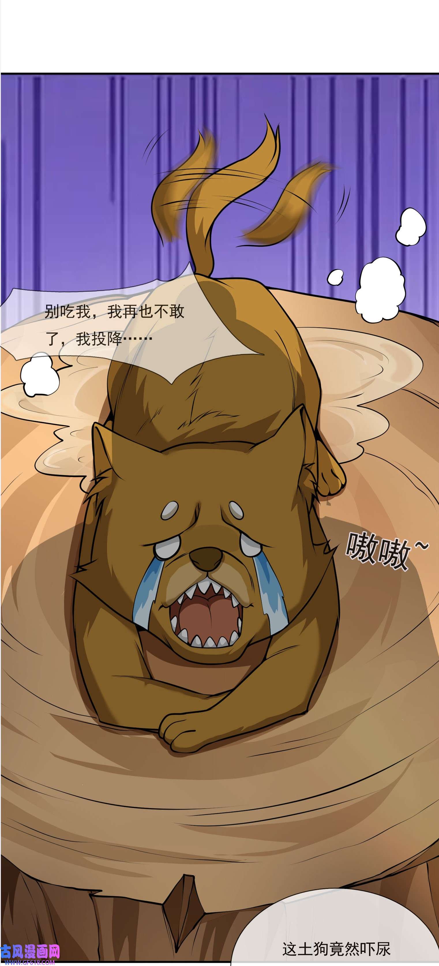 13.jpg