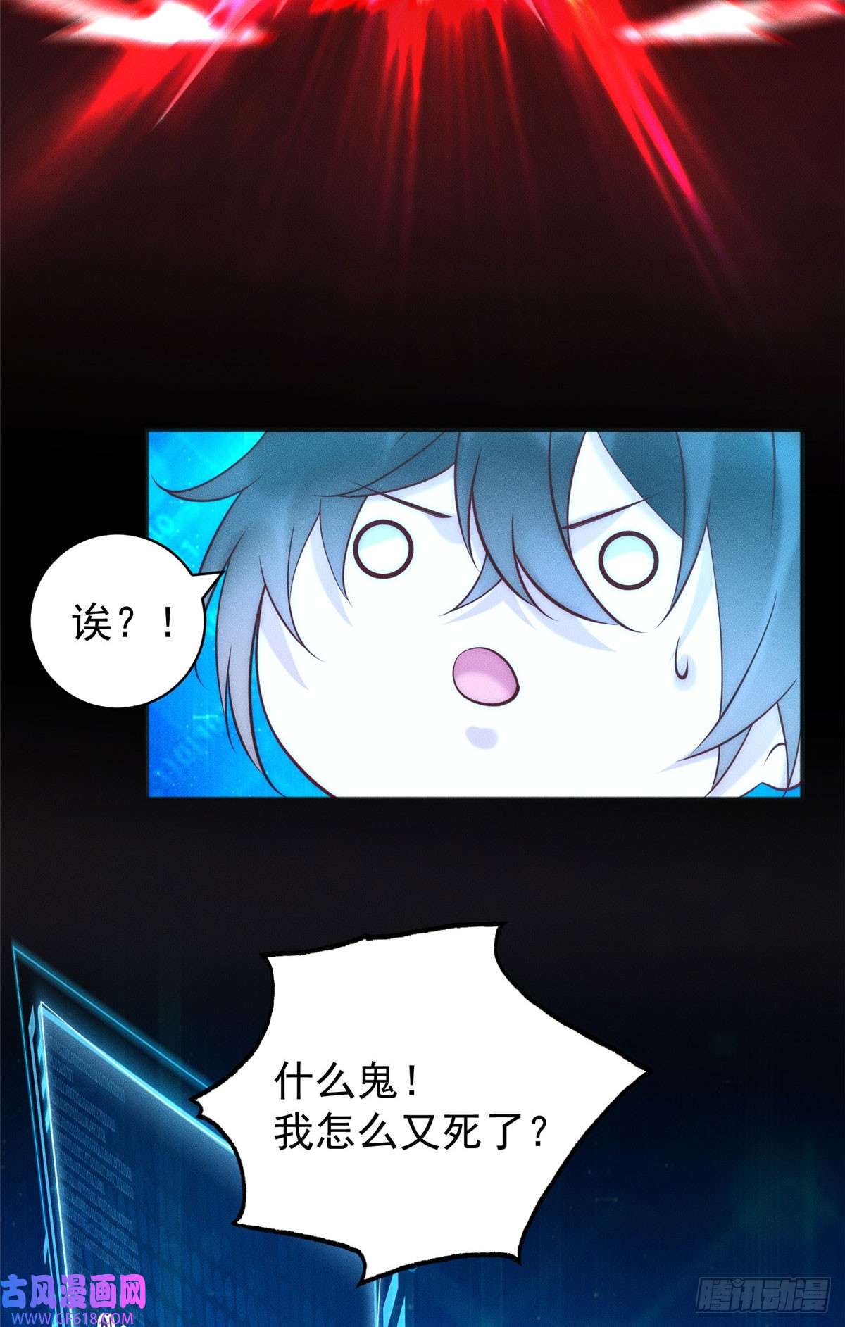 12.jpg