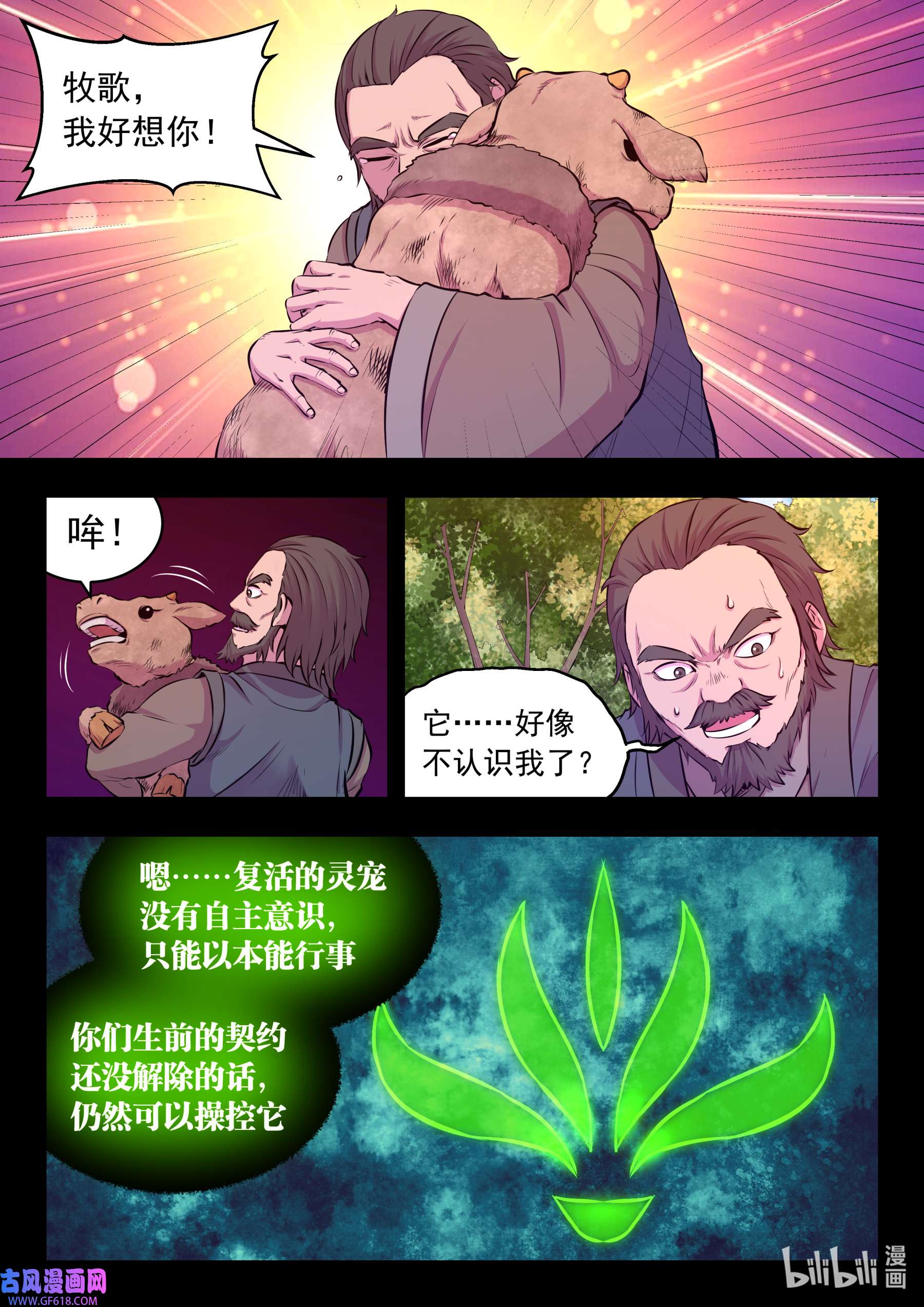 13.jpg