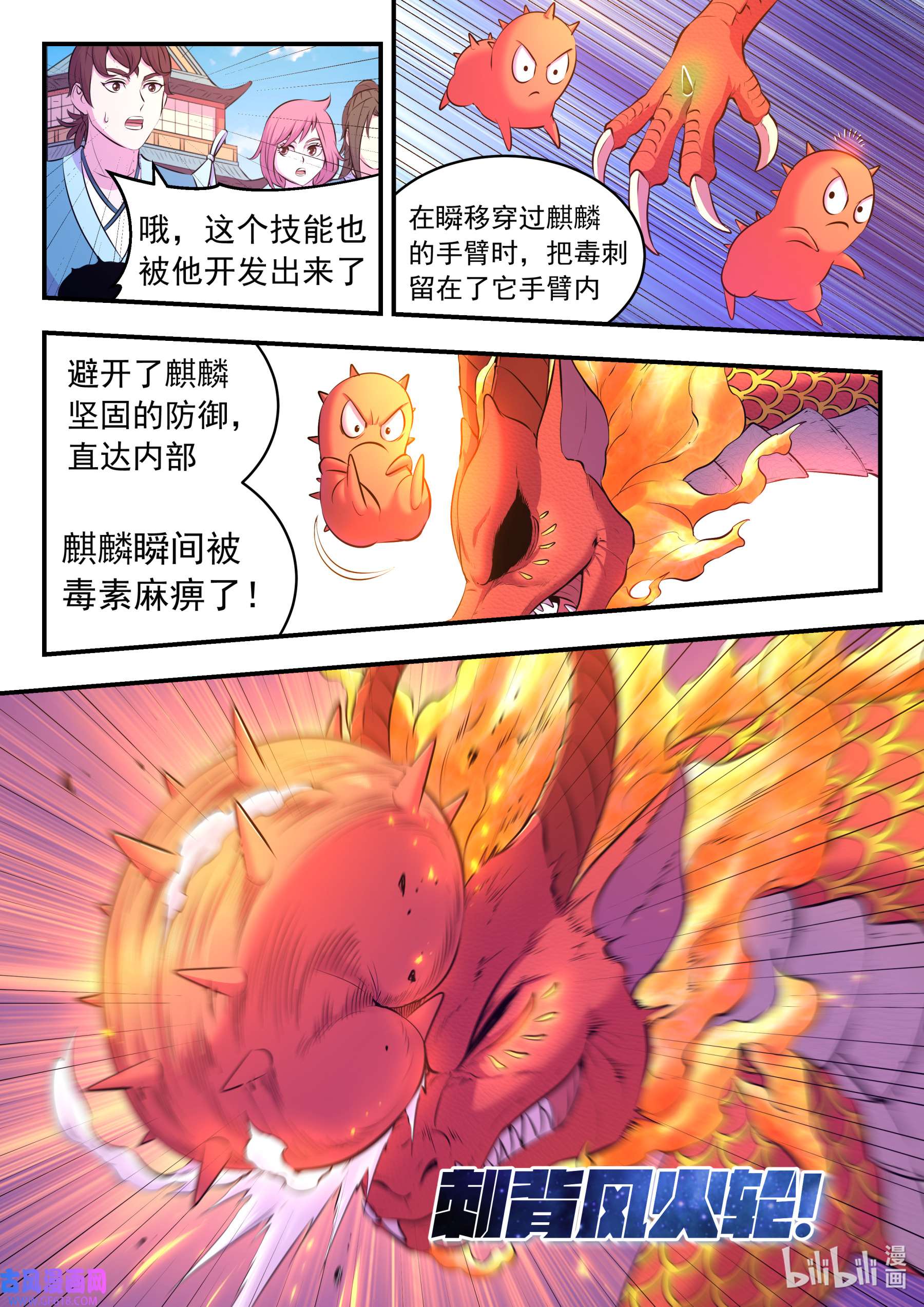 15.jpg
