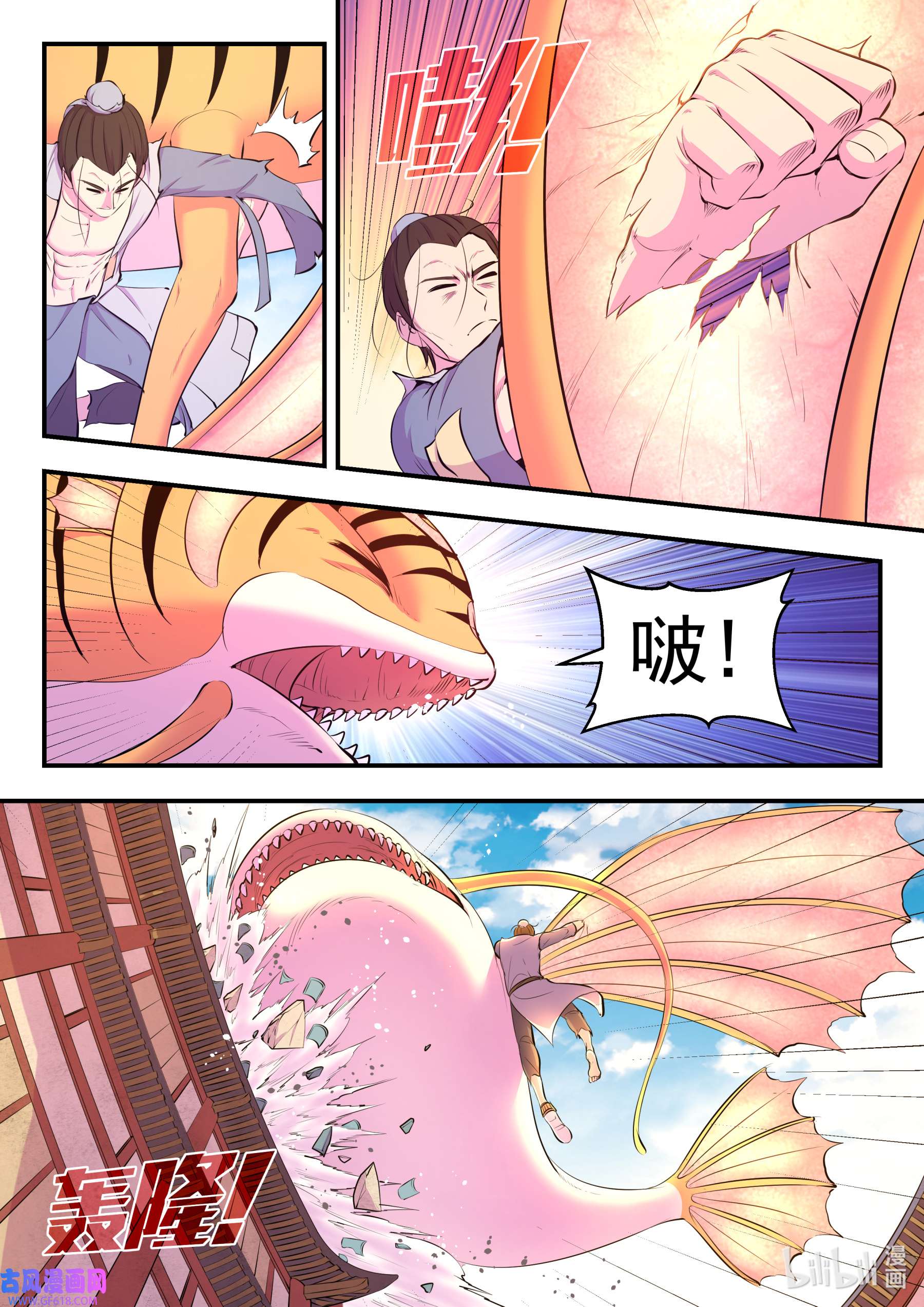 5.jpg