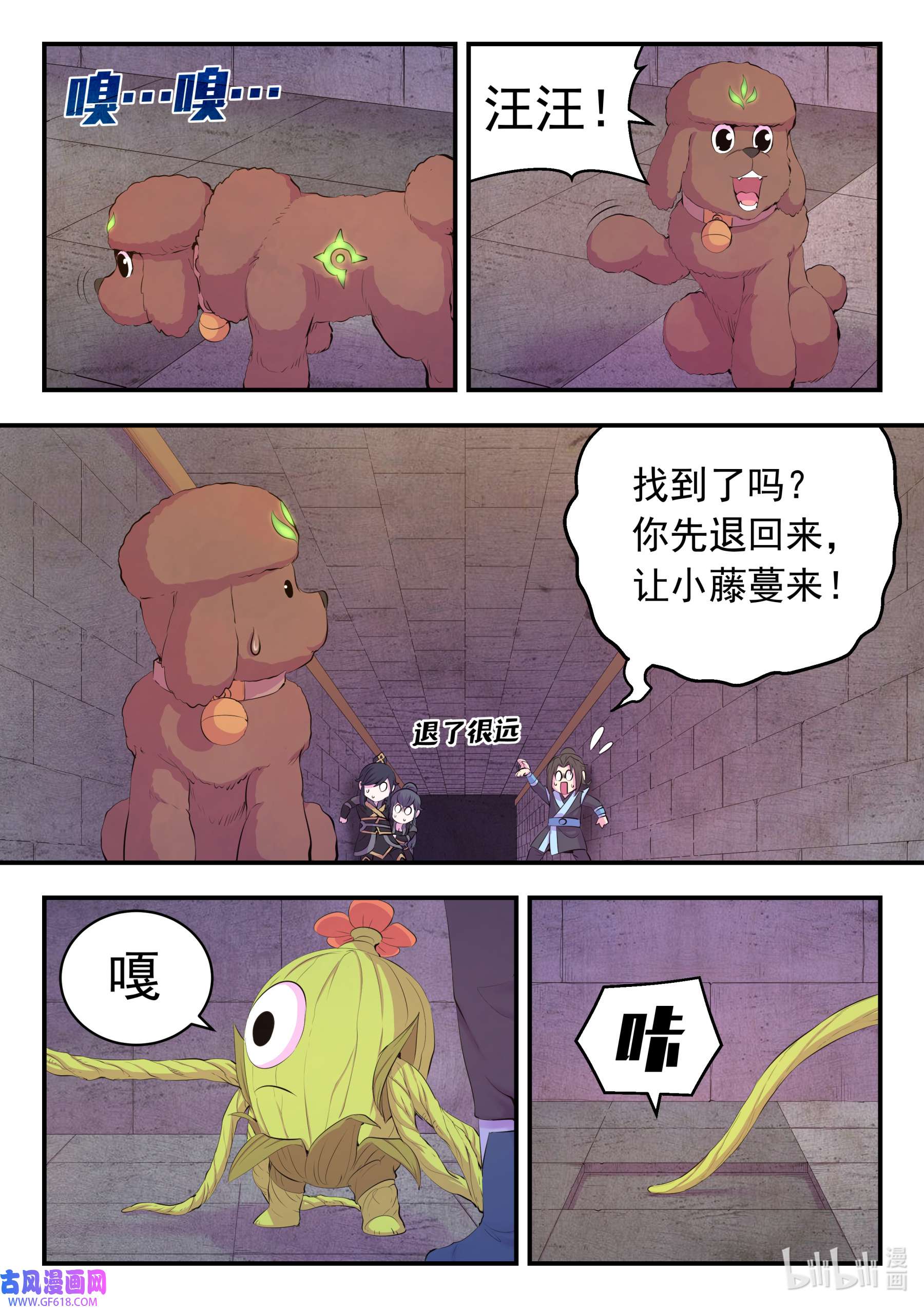 19.jpg