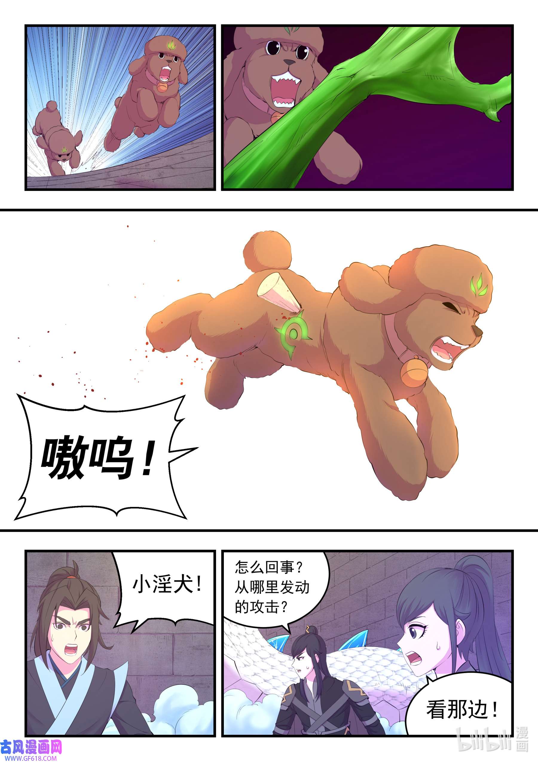6.jpg