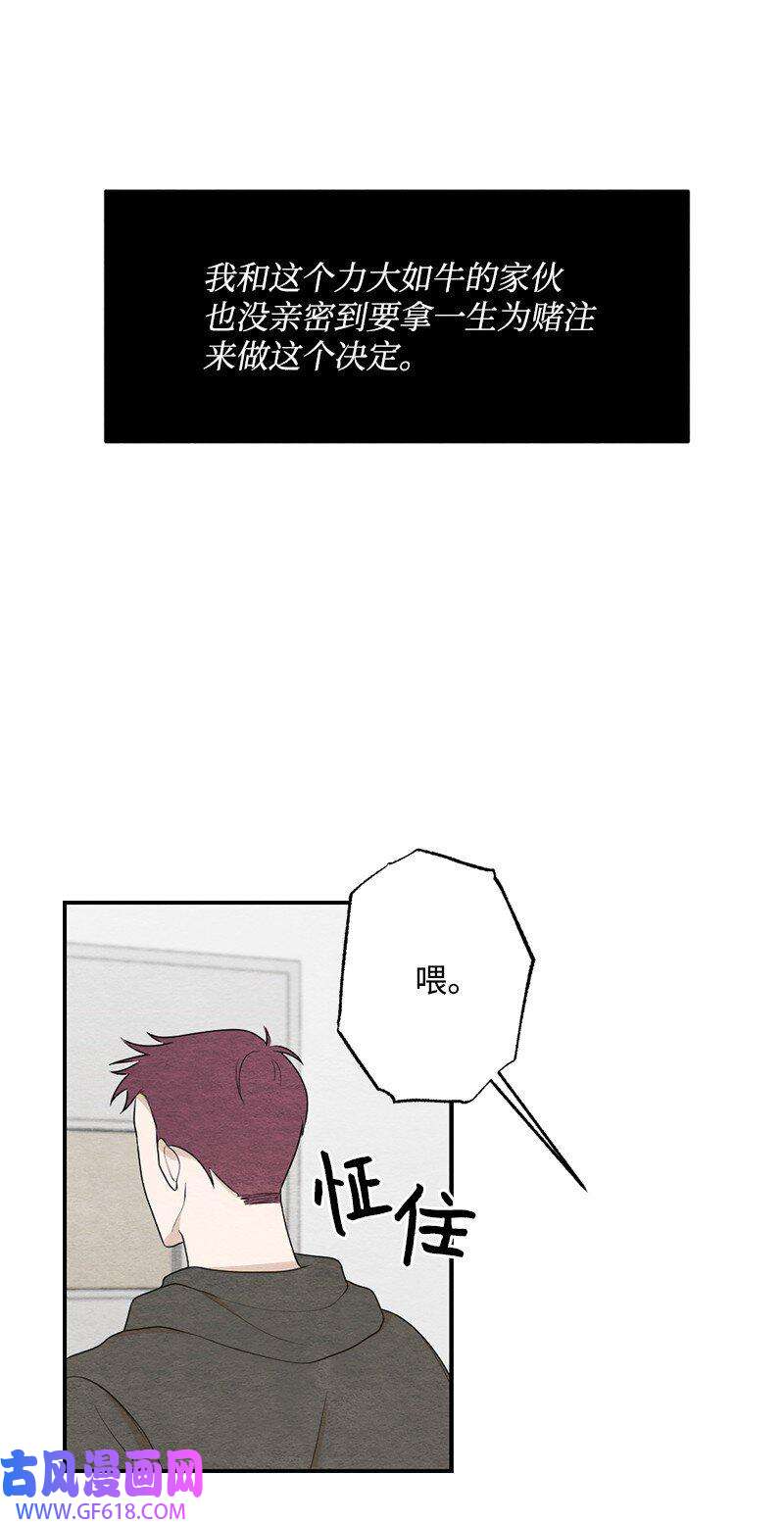 41.jpg