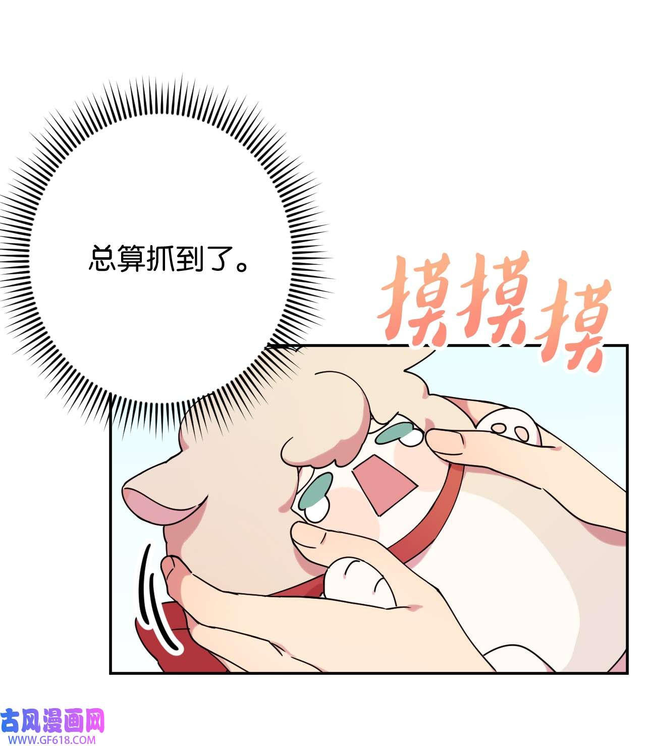 20.jpg
