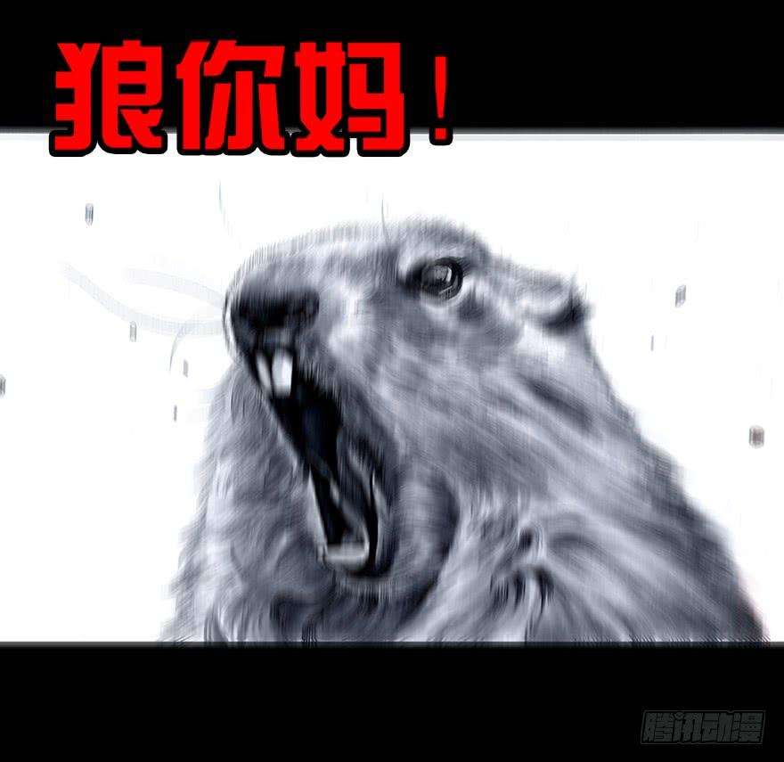39.jpg