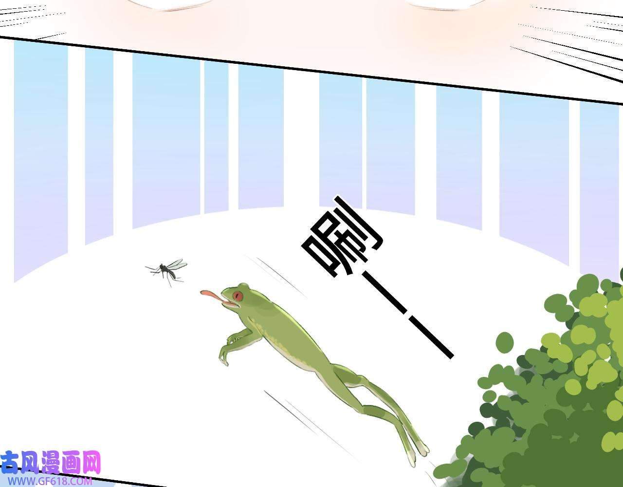 47.jpg