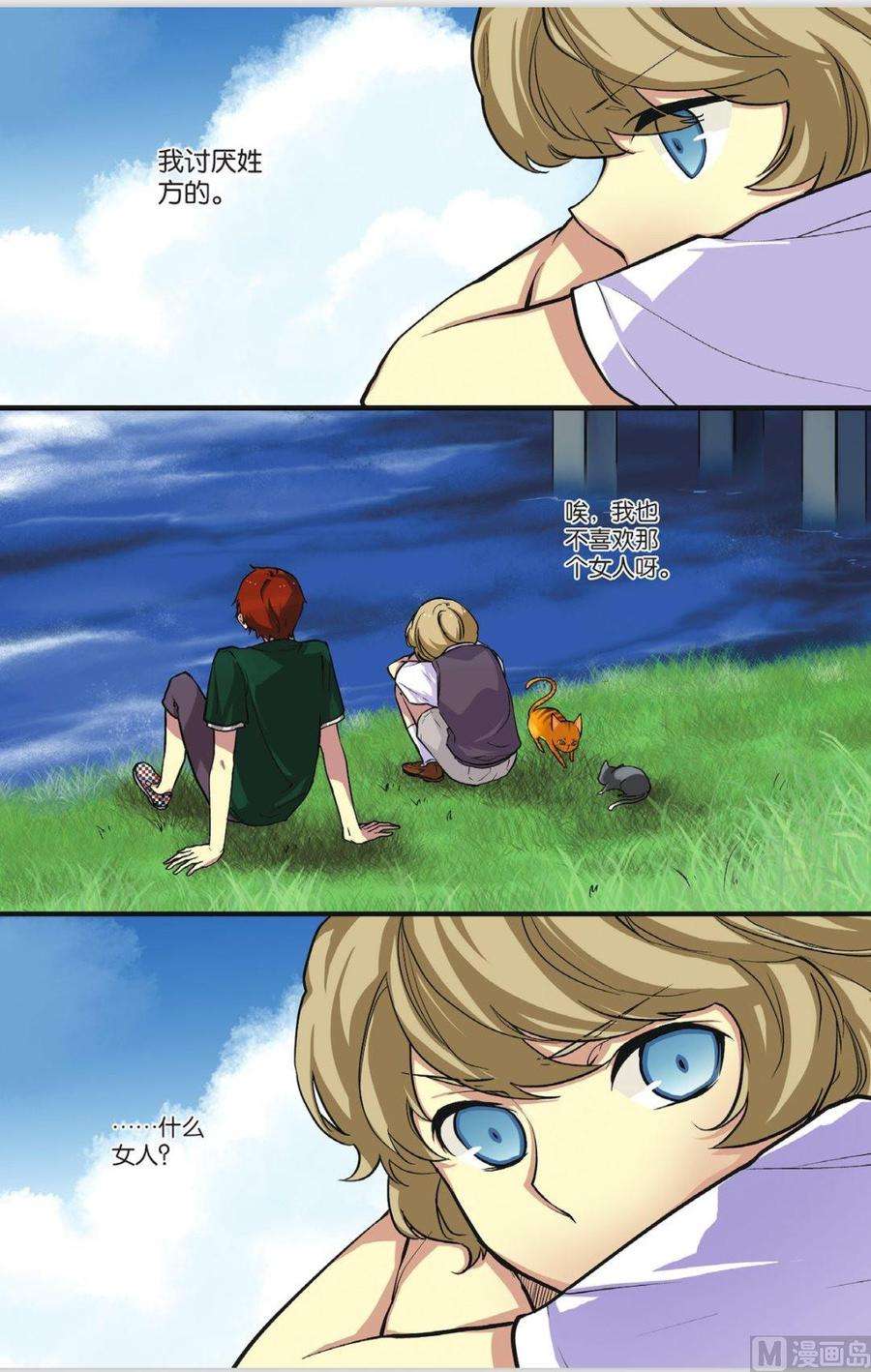 15.jpg