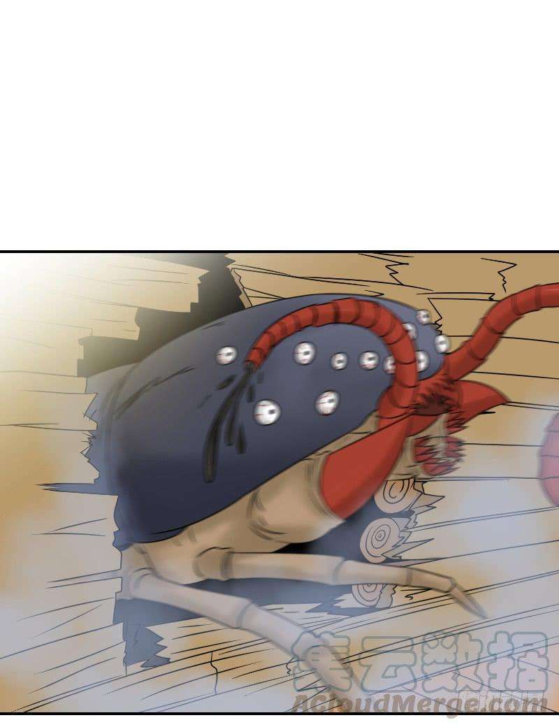 31.jpg