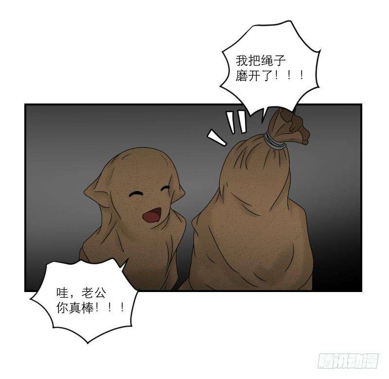 78.jpg