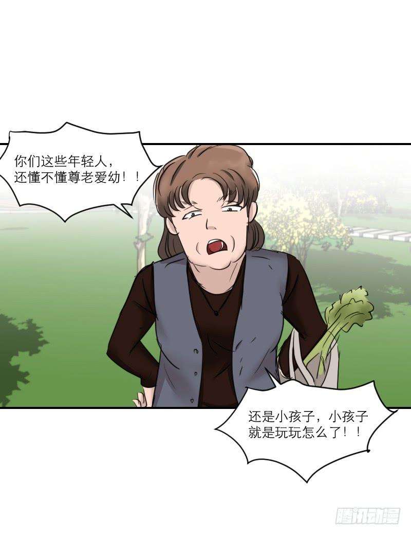 20.jpg