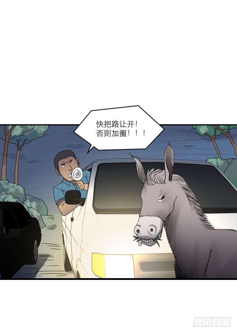 119.jpg