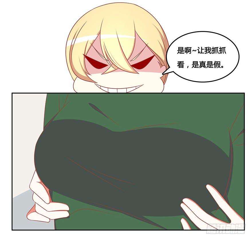 13.jpg