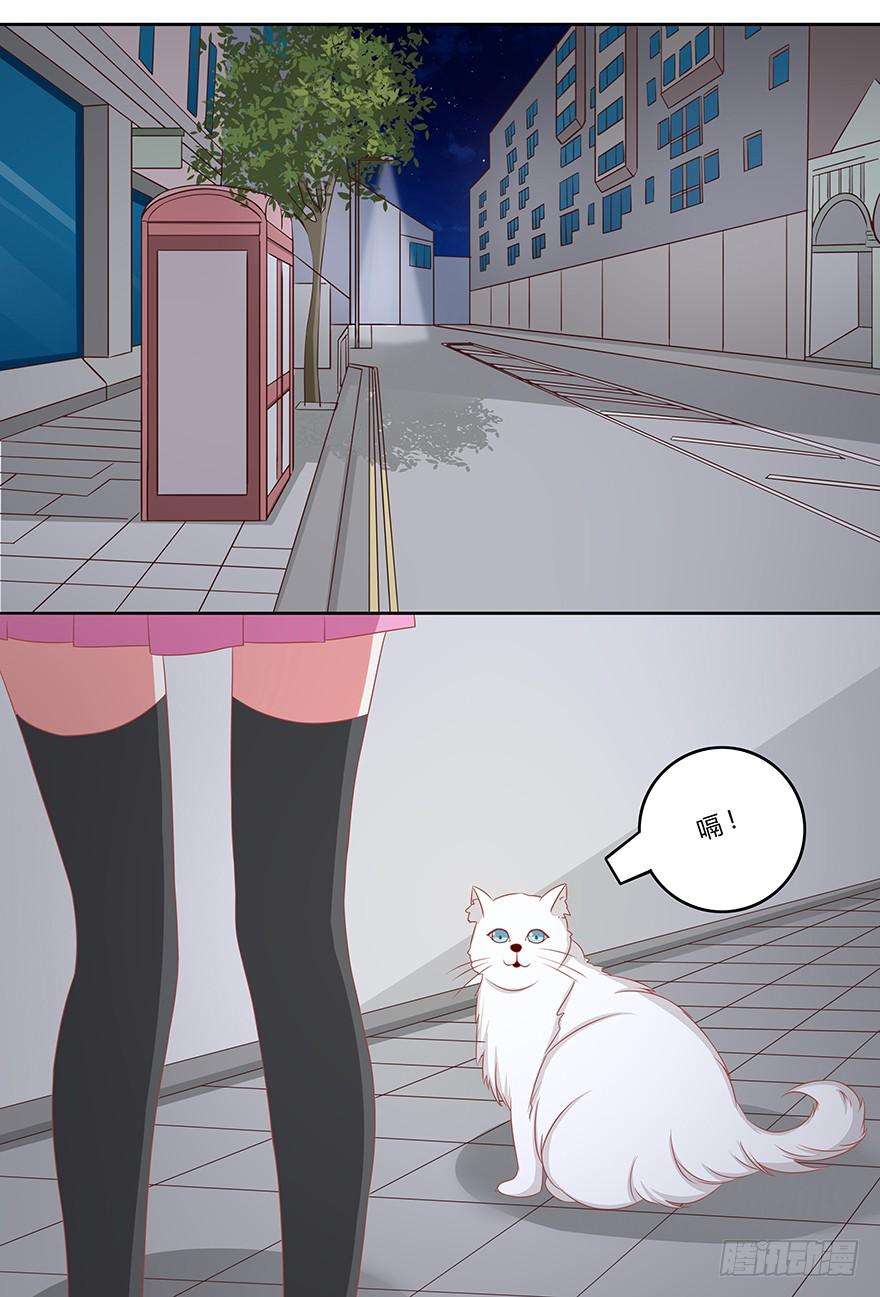 12.jpg