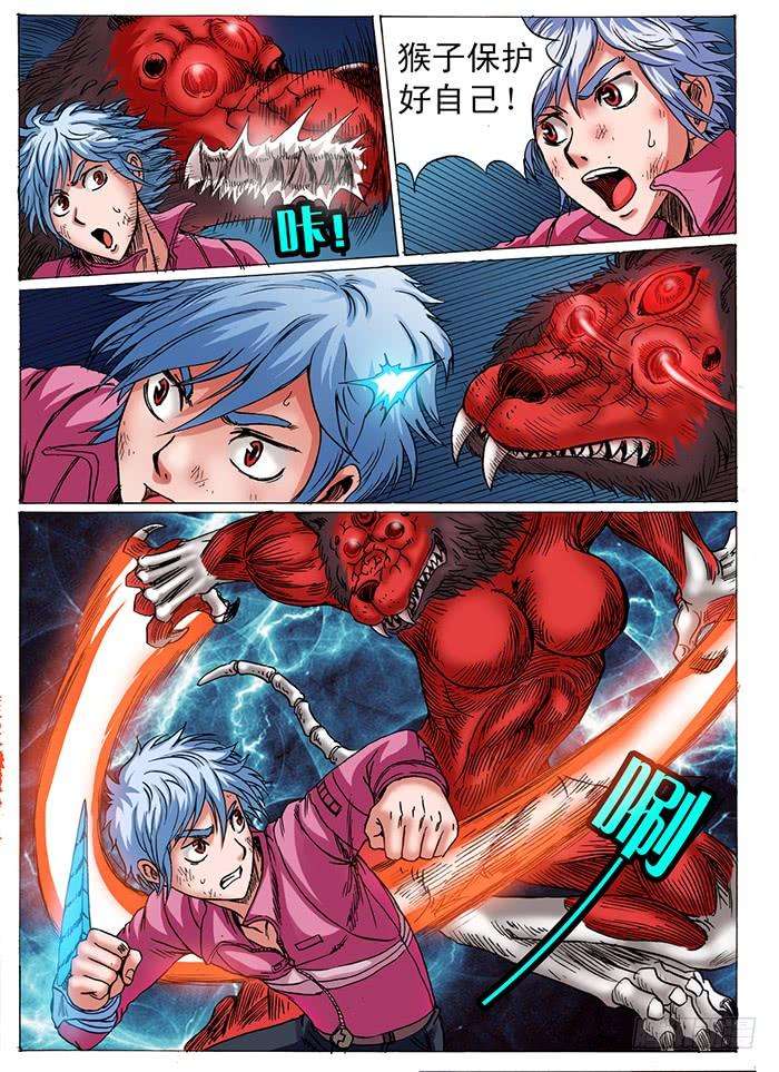 11.jpg