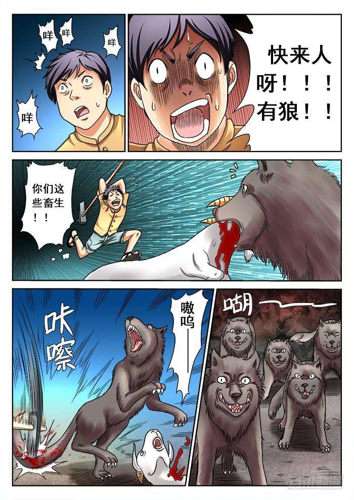 9.jpg