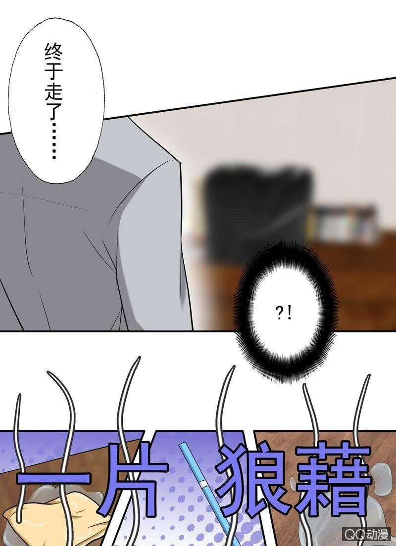 17.jpg