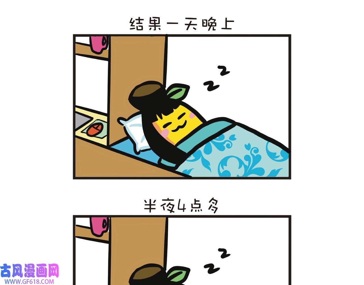 13.jpg
