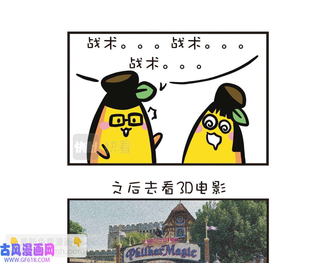 16.jpg