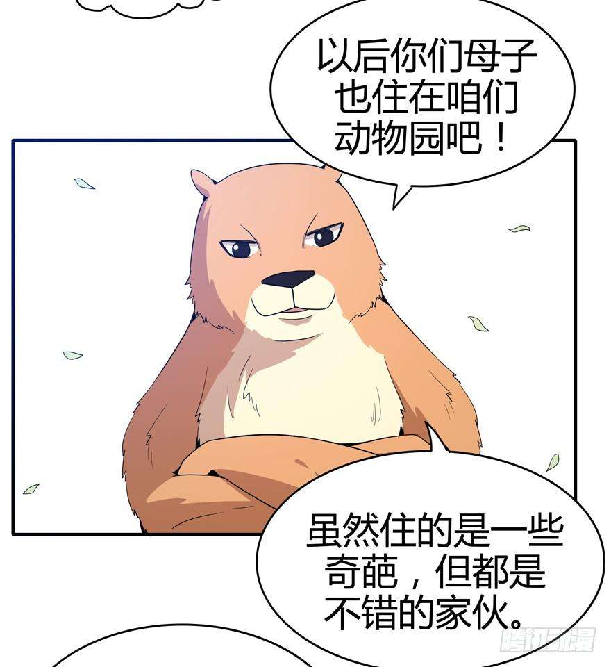 46.jpg
