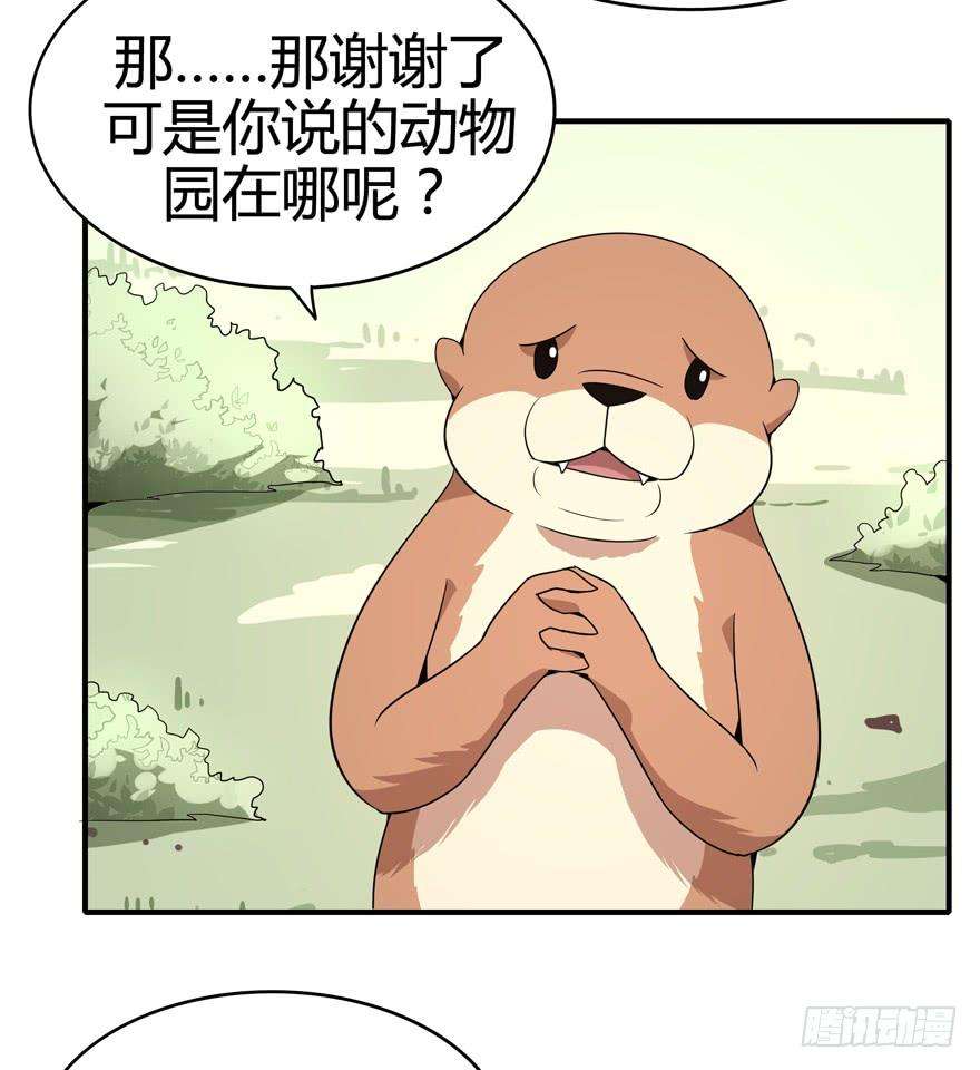 47.jpg
