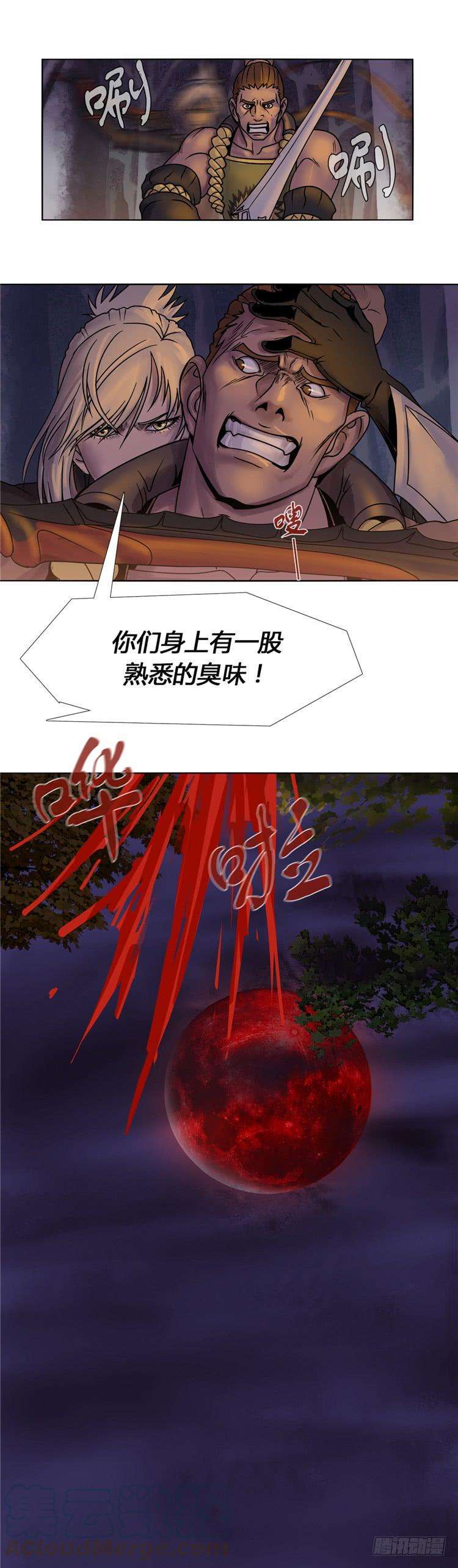 15.jpg