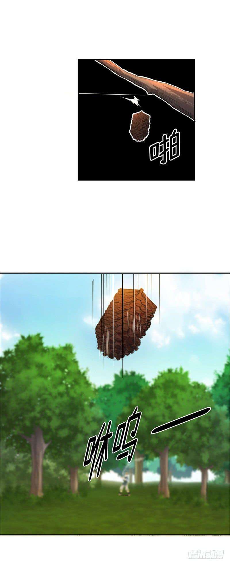 12.jpg