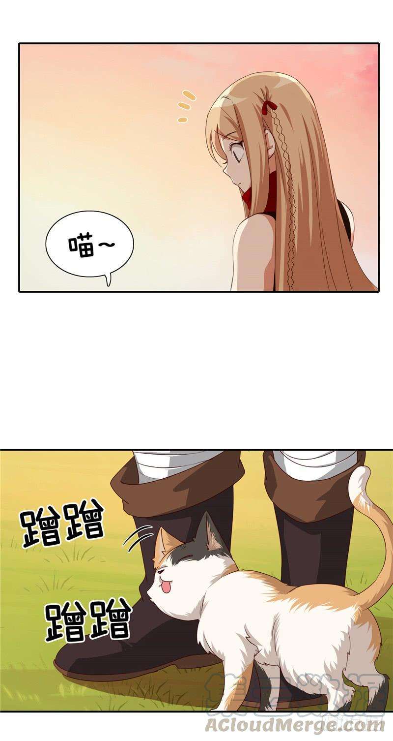 15.jpg