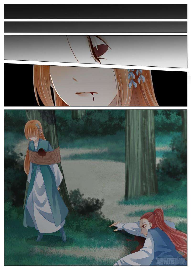 8.jpg